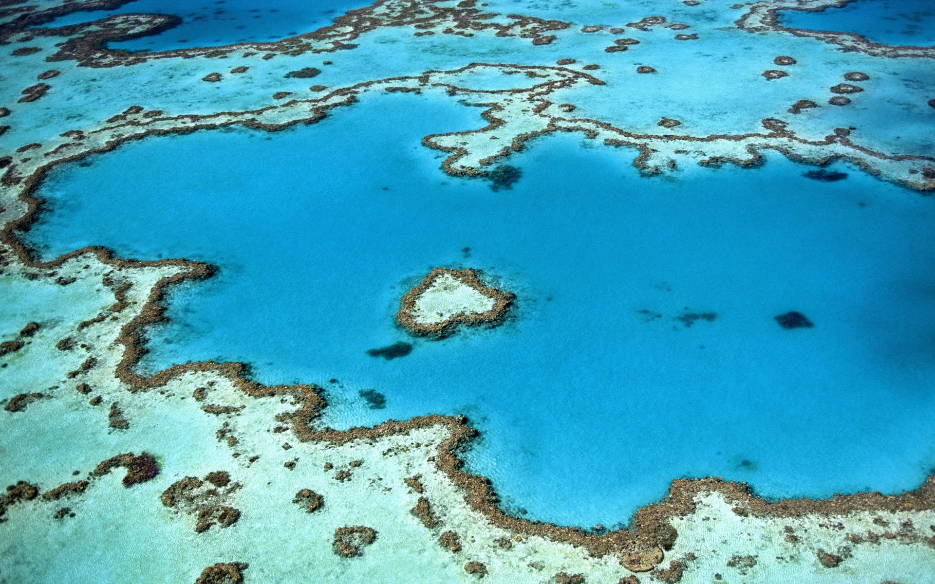 珊瑚礁が囲うハート形の浅瀬を上空から望む光景、周囲に深い藍と淡い水色の海が広がる
